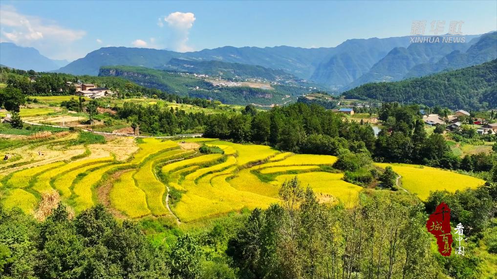 湖北巴東：層層梯田美如畫