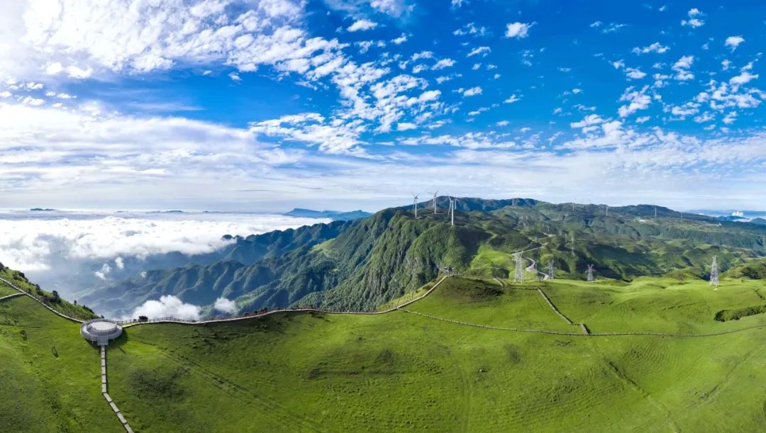 贵州山色丨赴一场清凉之约，来听听到贵州旅游的人怎么说→