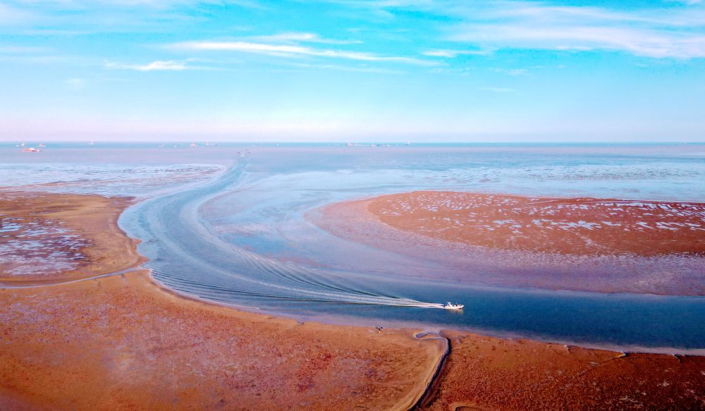 山东东营：湿地披“红妆”