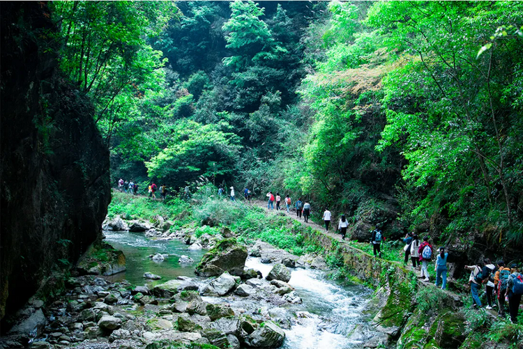 貴州山色丨赴一場清涼之約，來聽聽到貴州旅遊的人怎麼説→