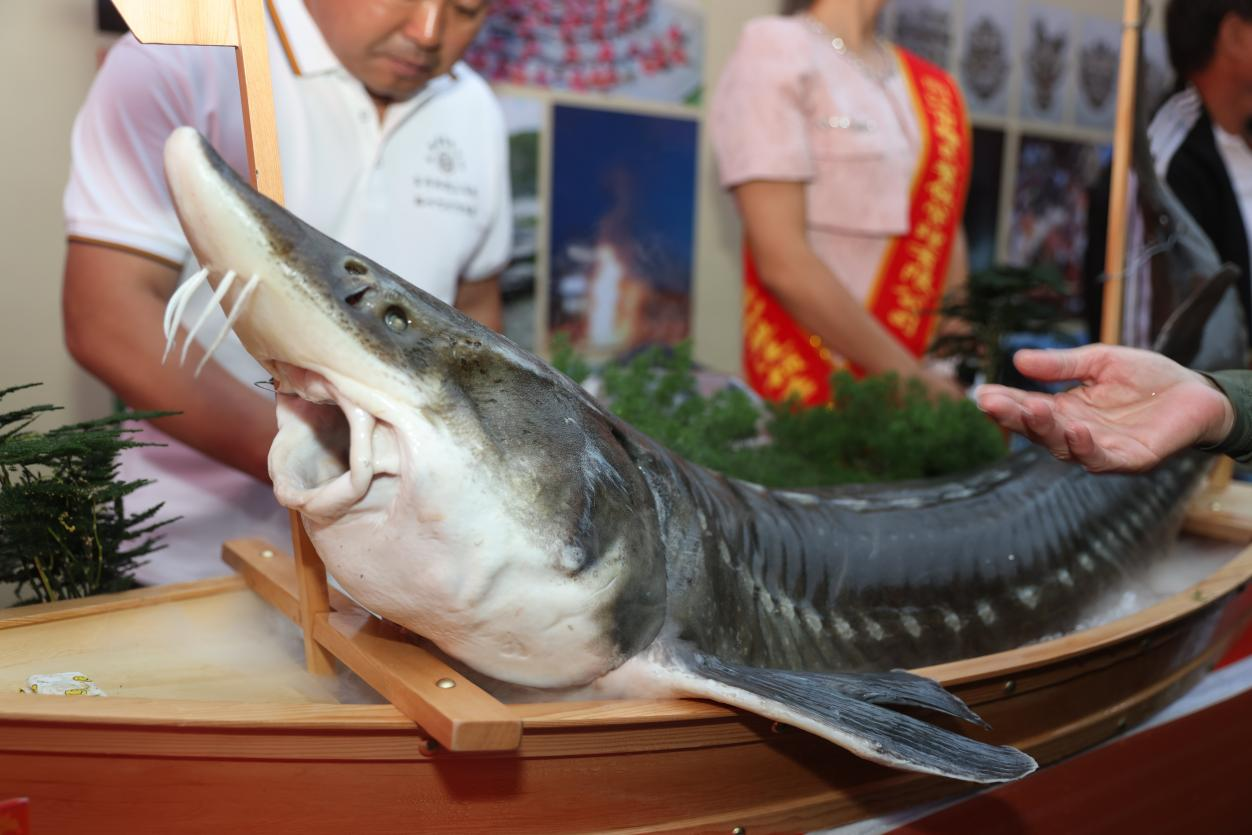 佳木斯同江市携“世界第一块鳇鱼月饼”亮相哈尔滨中央大街_fororder_图片2