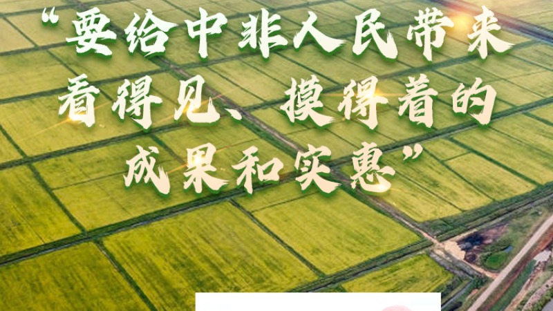 【講習所·新時代中非合作】“要給中非人民帶來看得見、摸得著的成果和實惠”