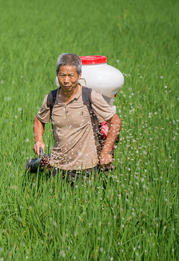 江西金溪：助推糧農從會種地到“慧”種地_fororder_圖片9