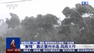 台风“摩羯”逼近雷州半岛 提醒居民居家避险