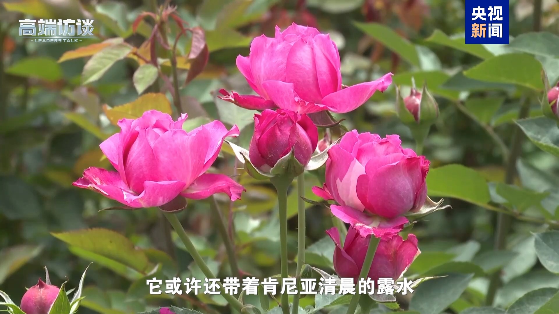 纠正非洲错误印象 听这些非洲国家领导人展开说说