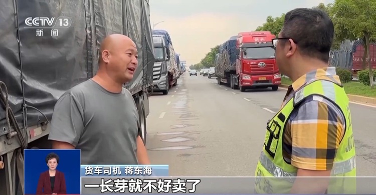 台风“摩羯”逼近雷州半岛 提醒居民居家避险