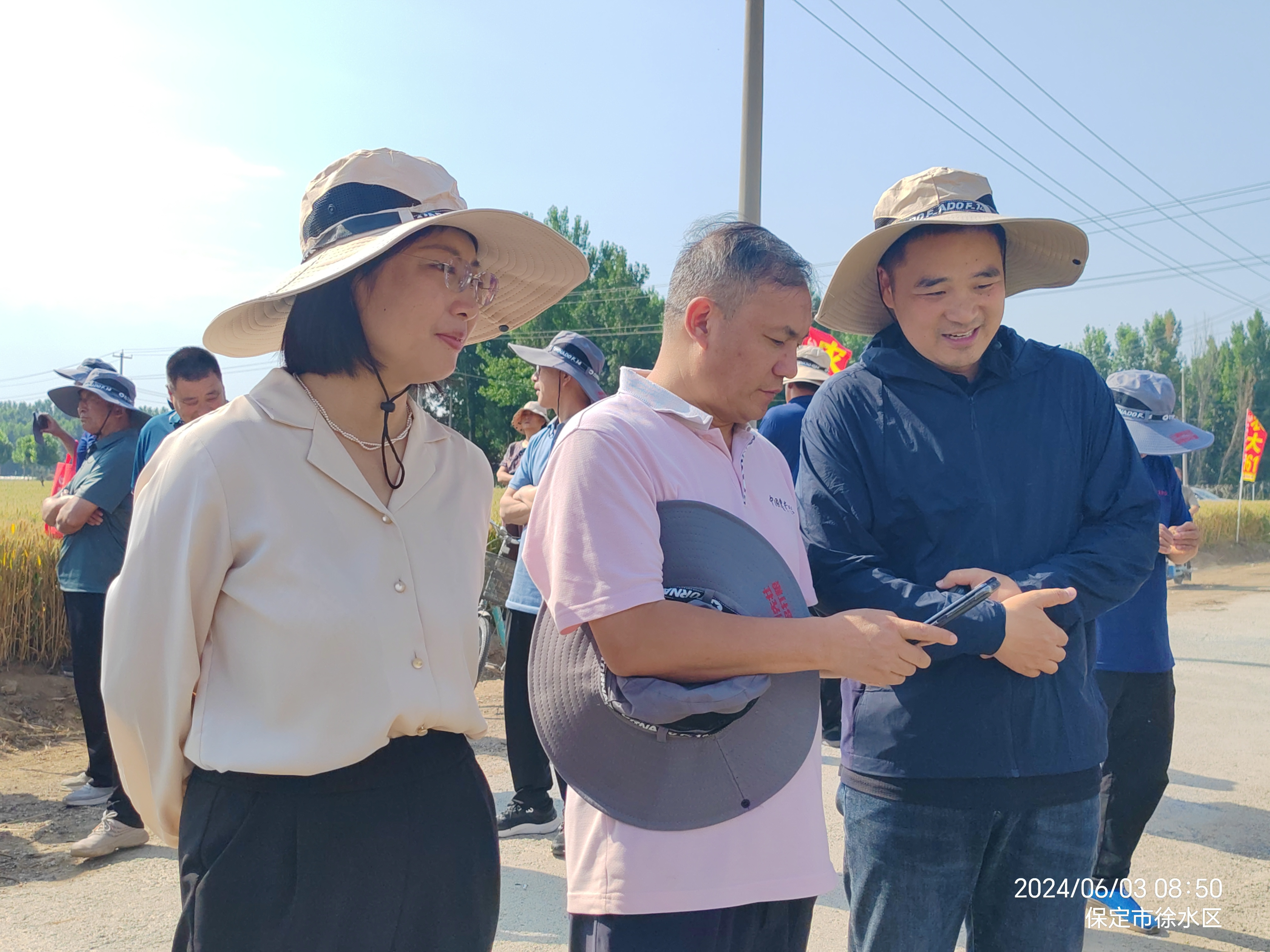 聚焦“引用留” 打造“农秀才” 徐水绘就“农才惠企”新图景_fororder_农业专家走进田间地头指导农业生产