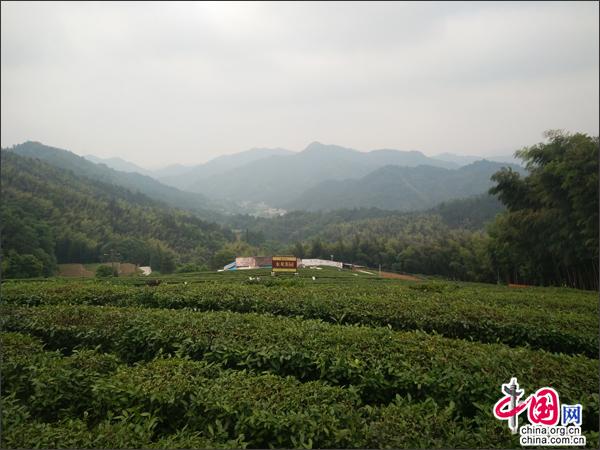 湖南安化:立足特色产业发动 蓄力打造山水茶乡