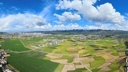 貴州惠水：稻浪翻涌 繪就好“豐”景