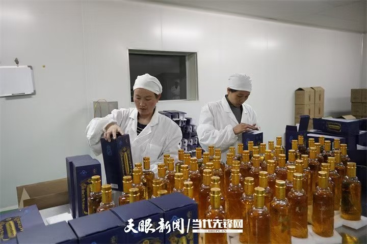 贵州：加快培育特色食品加工业 写好土特产文章 “舌尖”产业有滋味