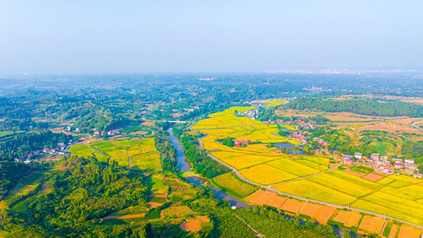 高“烤”30余天 都江堰引水12亿方为四川盆地“解暑”_fororder_图片-2