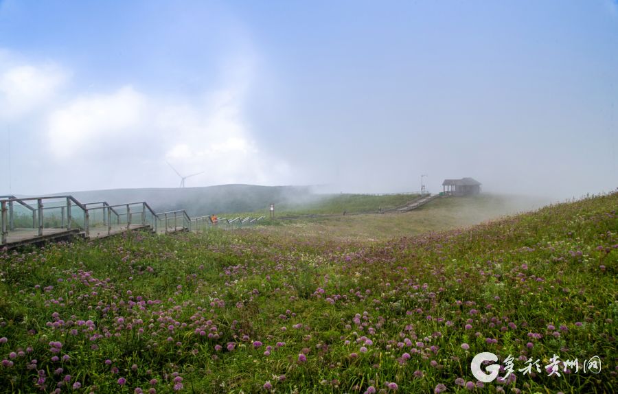 秋日的贵州屋脊：风光美如画_fororder_00304610052_0f952e2e