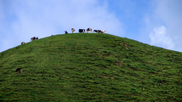 風吹青草香 悠然見南山——寫在第三屆邵陽旅遊發展大會召開之時