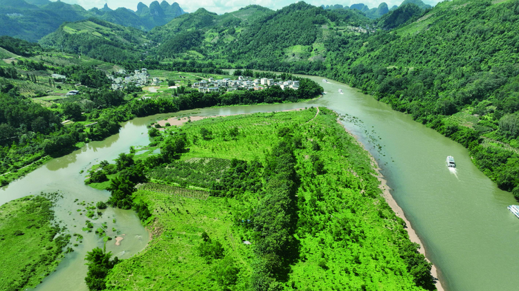綠水青山入畫來 漓江山水工程(陽朔段)生態修復顯成效_fororder_圖片3