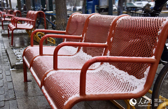 哈爾濱市迎來立冬後首場降雪