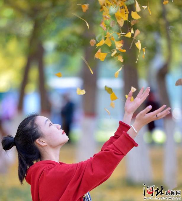 石家莊：秋天的童話