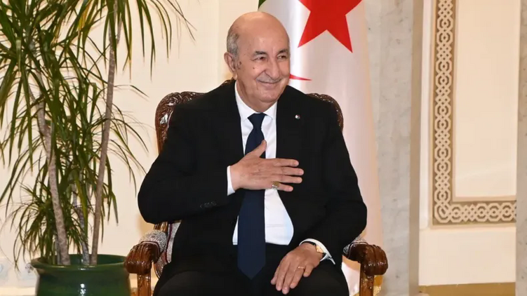 阿尔及利亚宪法委员会确认现任总统特本赢得连任