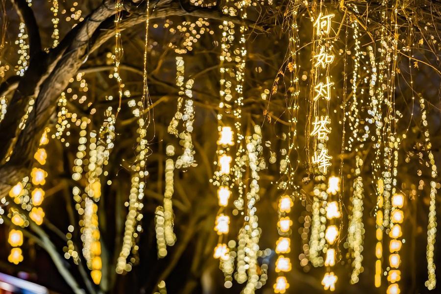 长安诗意在 文脉贯古今