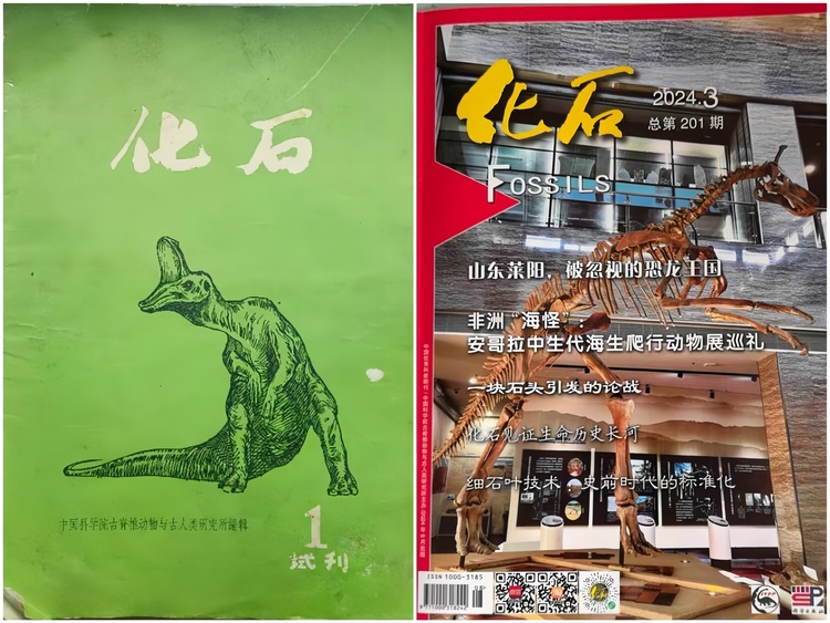 時隔 52年！萊陽與“新中國第一龍” 再登《化石》期刊封面_fororder_微信圖片_20240920152056