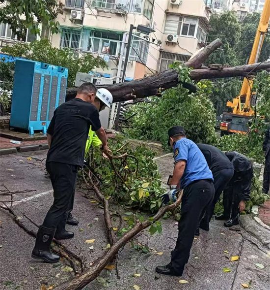 台风来袭 南京市秦淮区朝天宫街道城管部门迅速行动 筑牢安全防线_fororder_图片28