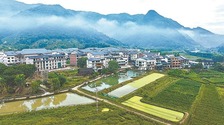 福鼎市赤溪村：三條公路見證小山村的滄海桑田_fororder_1111