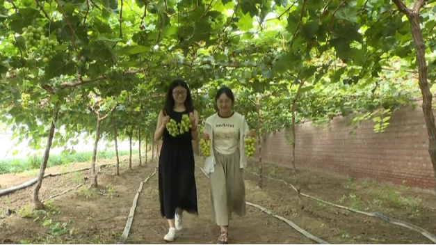 環境嬗變産業興 石家莊市鹿泉區加快推進宜居宜業和美鄉村建設_fororder_石家莊市鹿泉區區加快推進宜居宜業和美鄉村建設1236