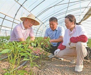 图片默认标题