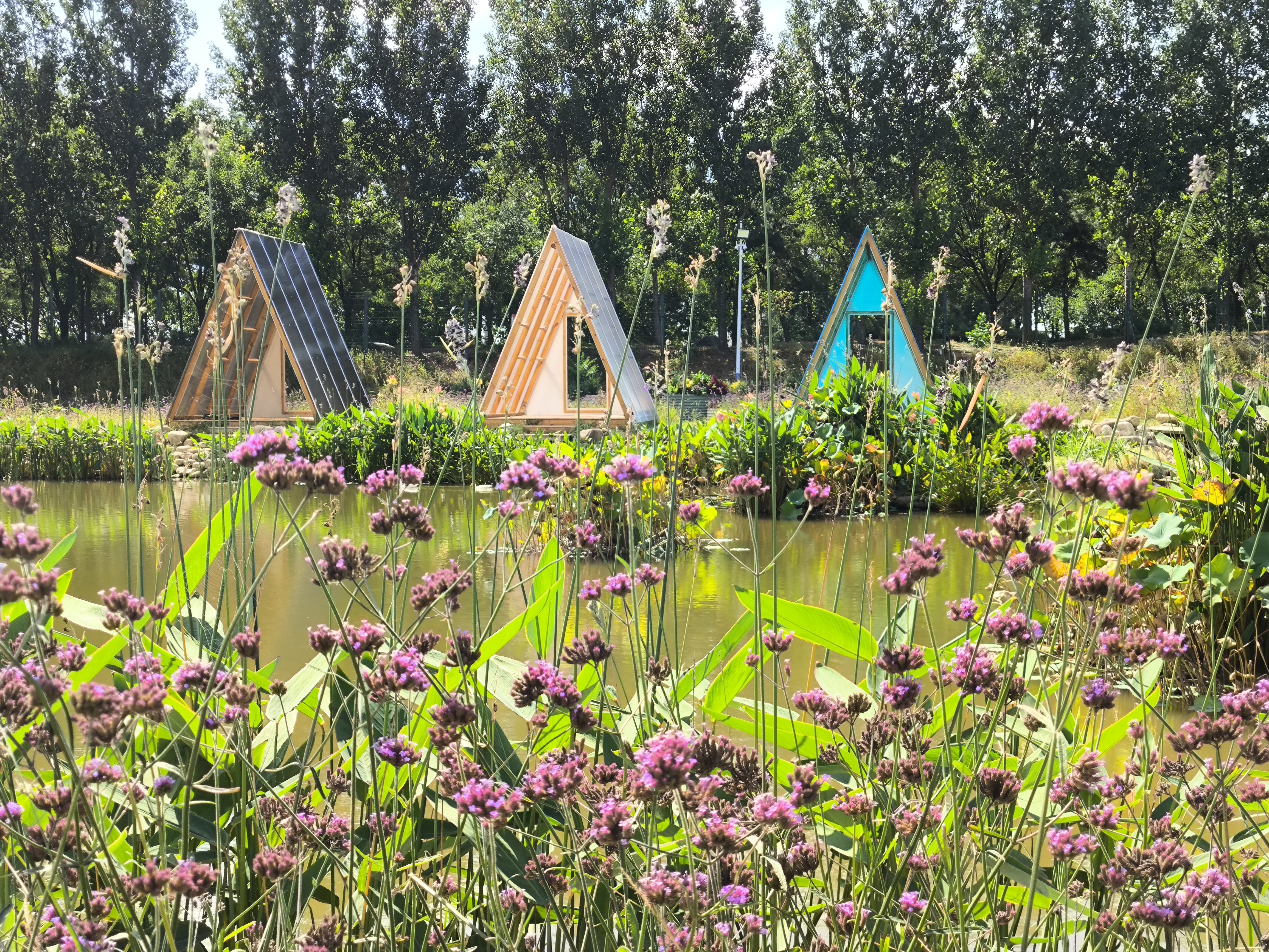 2024“最美风景，津郊‘乡’约” 金秋露营生活节启动_fororder_2