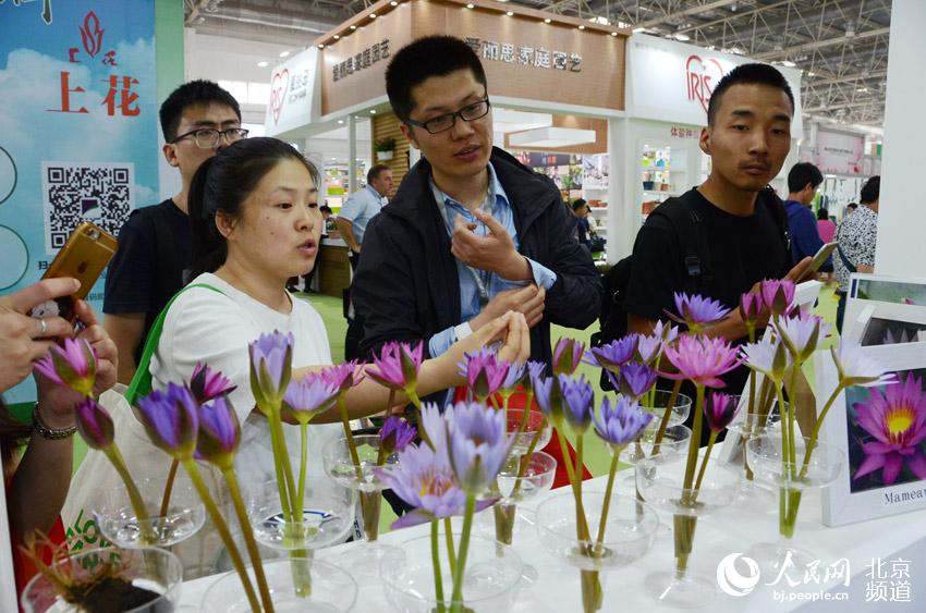 第二十屆中國國際花卉園藝展覽會在京開幕