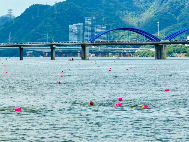 浙江桐庐：近2000名“泳士”抢渡富春江_fororder_微信图片_20240923090056