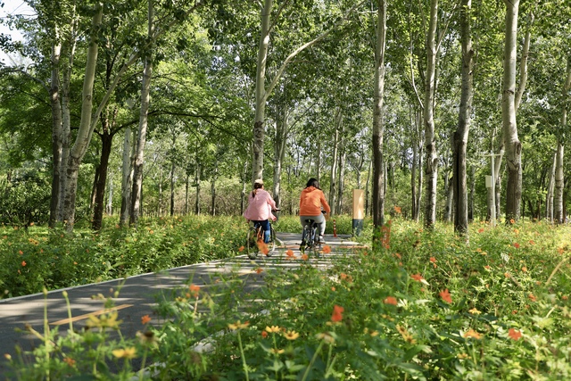 让绿色与繁华并存——北京市朝阳区持续建设花园城市示范区_fororder_微信图片_20240923152058