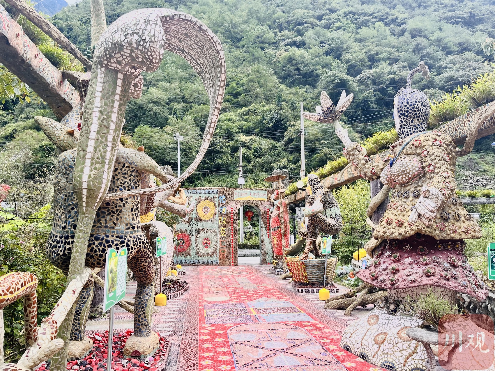 （转载）震后16年，在废墟上建起一座“植物王国”