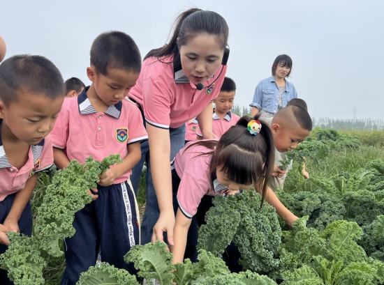 河北东光：萌娃共享丰收喜悦_fororder_河北东光：萌娃共享丰收喜悦316