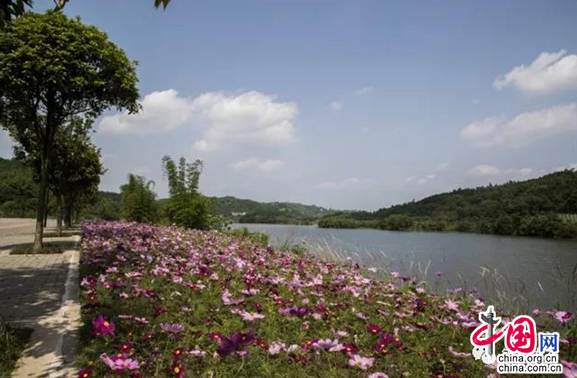 【渝情渝景】初夏的玄天湖 怎一個美字了得