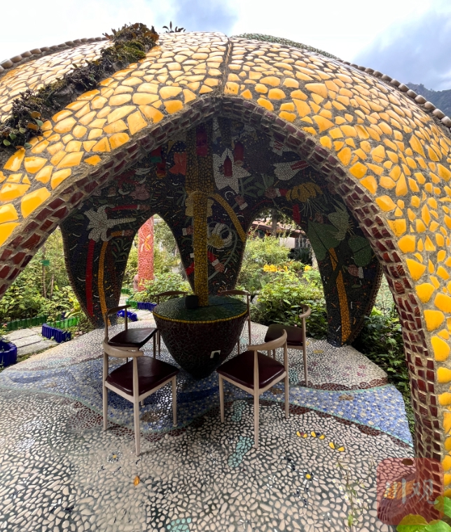 （转载）震后16年，在废墟上建起一座“植物王国”
