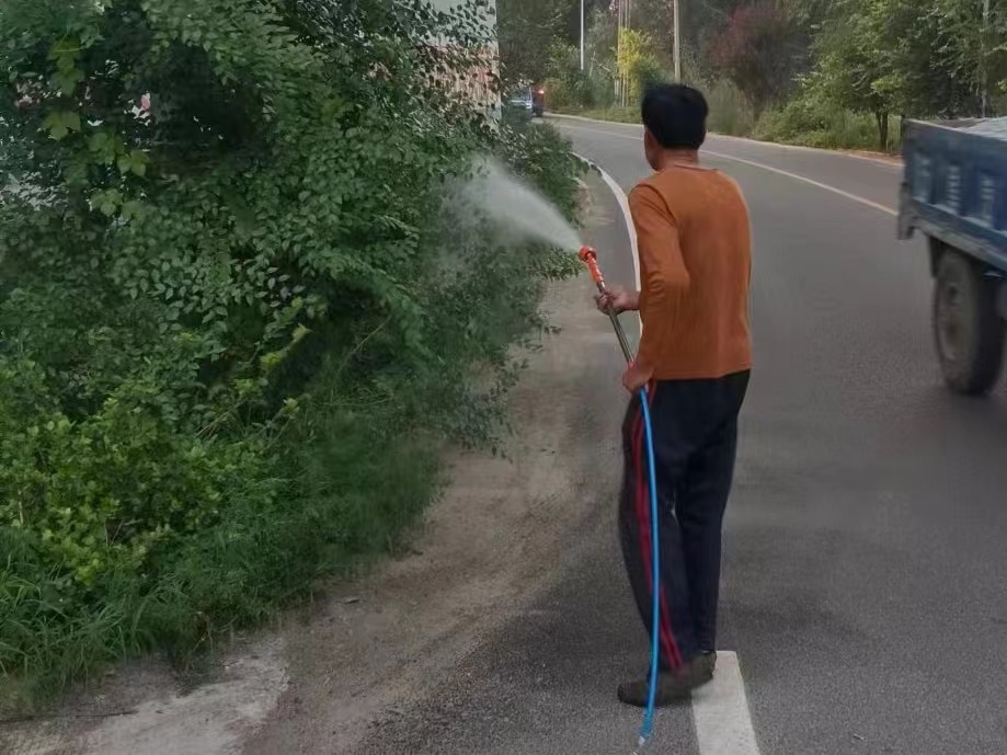 “双争”有我丨保定市满城区：携手共筑防虫屏障 建设无忧人居环境_fororder_村干部对沿街树木进行喷洒 摄影 刘亚宁