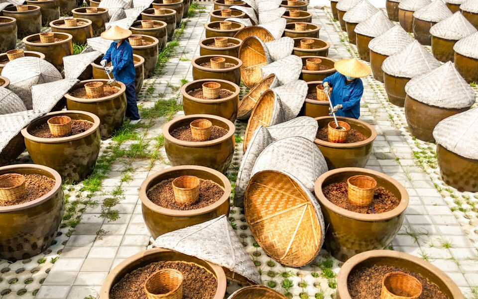 山東滕州：晴好天氣釀曬醬油