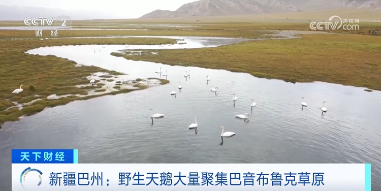 美如打翻的调色盘！秋日里的中国每一帧都是风景