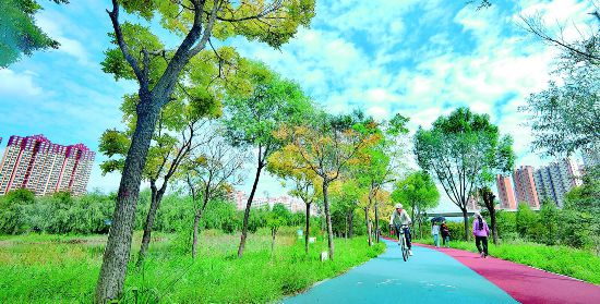 西寧湟水國家濕地公園已是秋景如畫