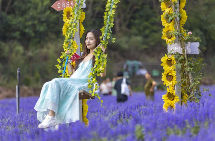 圖片默認標題_fororder_圖片2