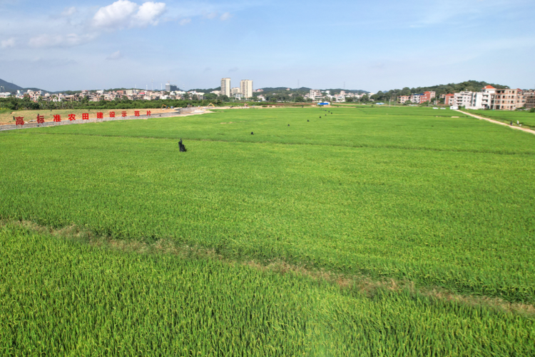 泉州惠安：学用“千万工程”经验 聚力做好“土特产”文章_fororder_图片1