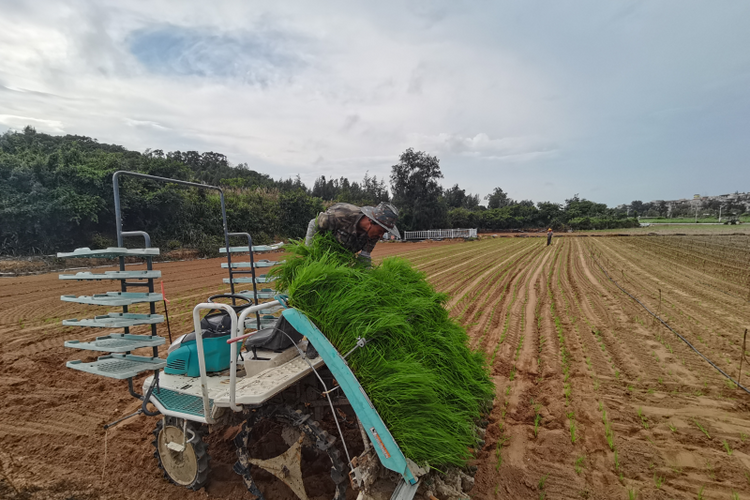 泉州惠安：学用“千万工程”经验 聚力做好“土特产”文章_fororder_图片3