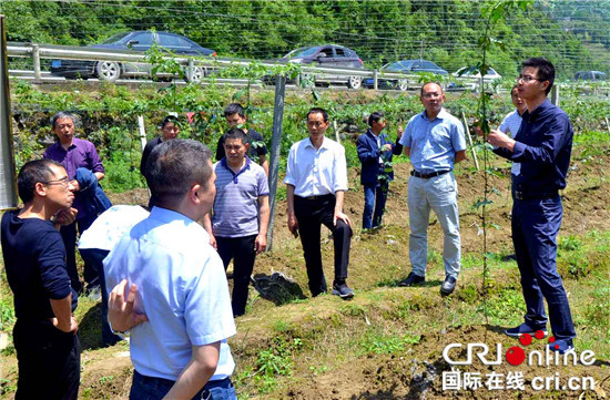 【区县联动】【石柱】重庆石柱：马武镇、桥头镇携手破解脱贫攻坚难题【区县联动 列表】重庆石柱：两镇携手破解脱贫攻坚难题