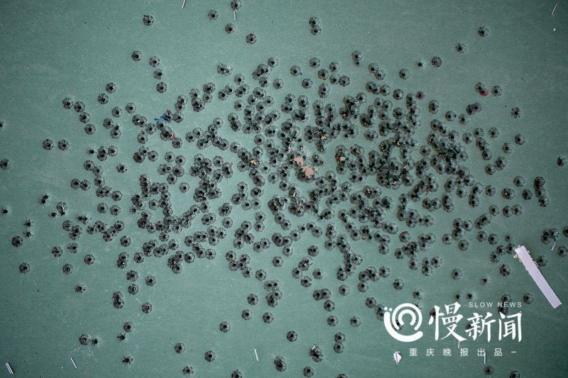 慢新闻 | 三次击毙嫌疑人的狙击手,玩“吃鸡”是一种怎样的体验?