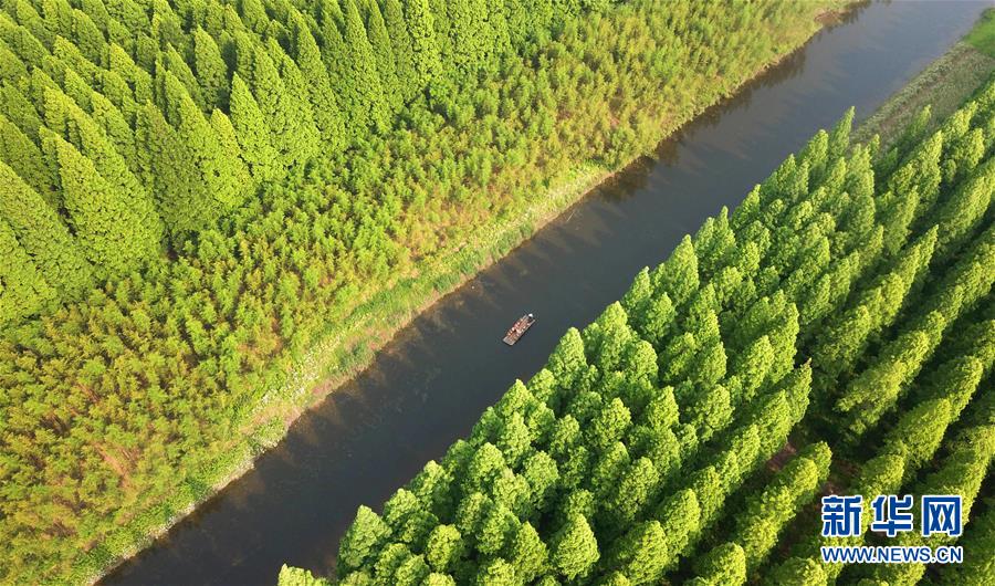 江苏黄海国家森林公园美如画