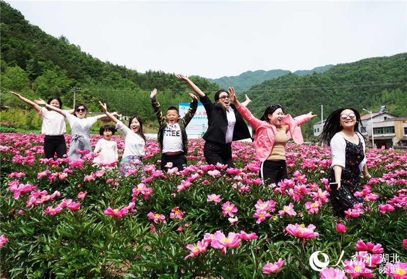 湖北十堰：芍藥花開醉遊人