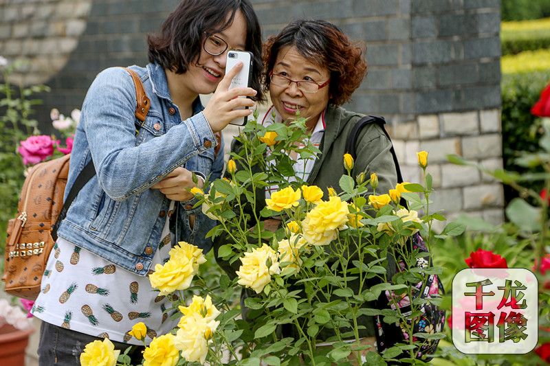 12個月季主題展亮相第十屆北京月季文化節