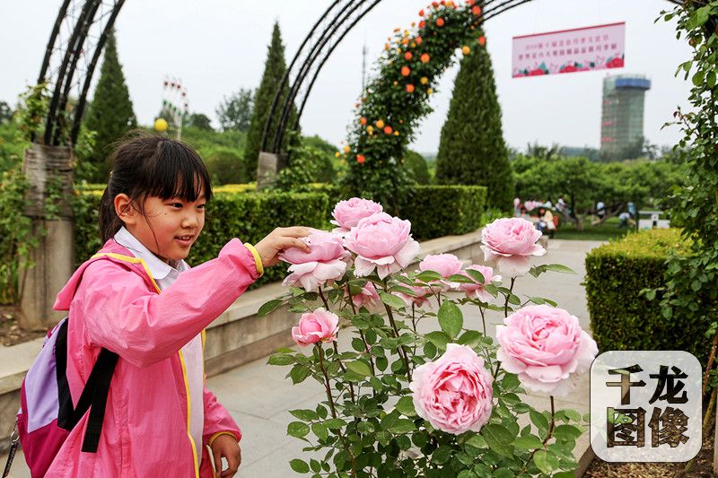 12個月季主題展亮相第十屆北京月季文化節