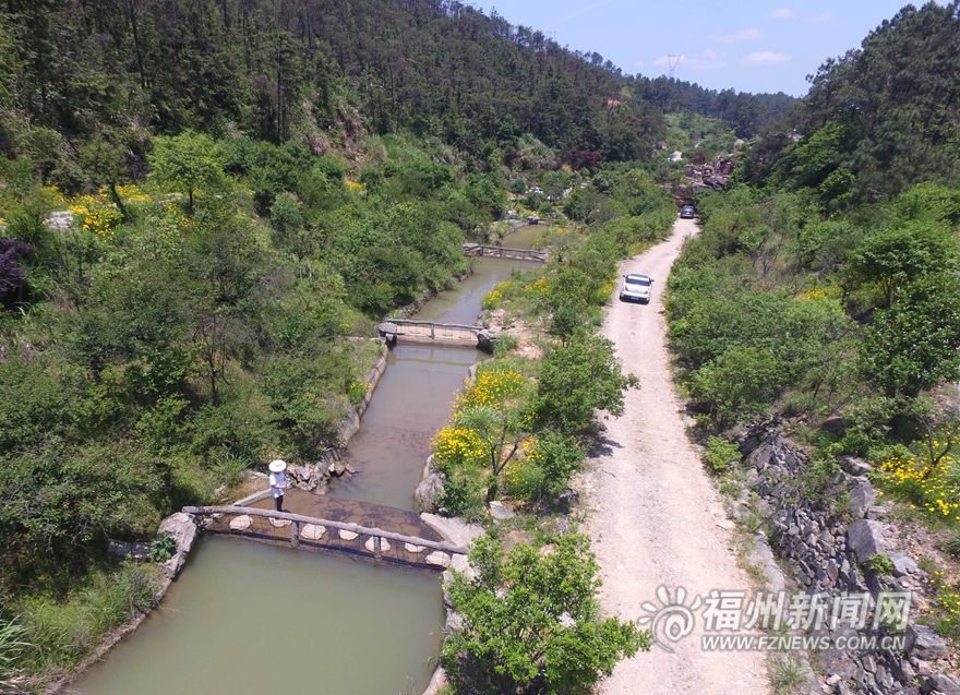 【旅游列表】【滚动新闻】鼓岭五月迎来新一轮花季　红色三叶草花连片盛开