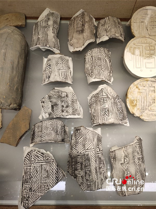 专家学者探访贵港历史文化  共话文旅发展机遇